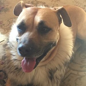 Meet your Posher, Christy